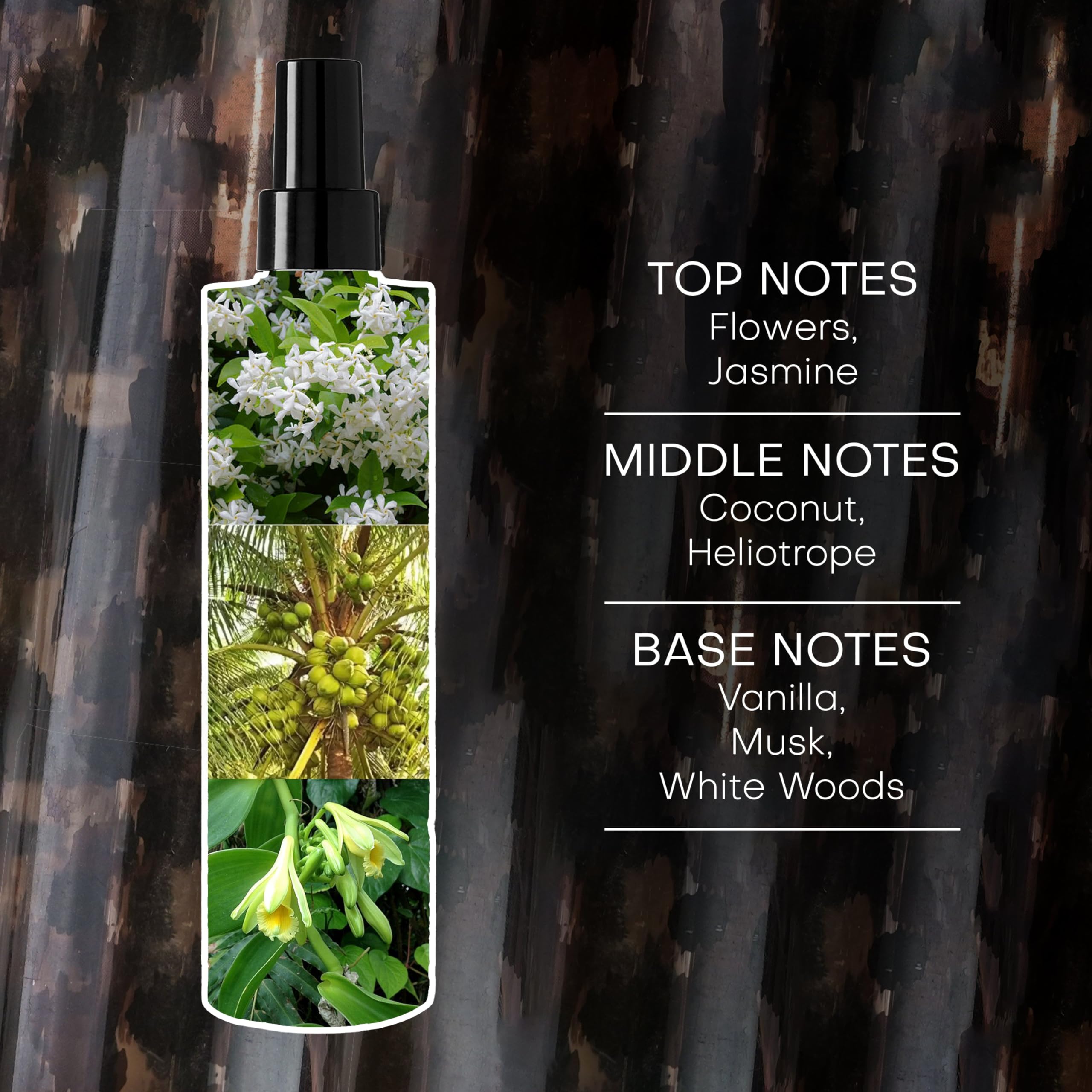 Rachel Zoe Empowered Body Mist for Women - Long-Lasting Luxury Body Mist with Floral Scents with Notes of Patchouli, Musk & Jasmine - Gift for Women - 300 ml